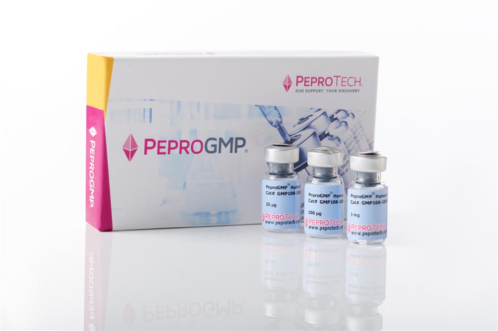 PeproGMP® Recombinant Human Heregulinbeta-1